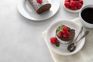 Chocolate roll cake or swiss dessert with raspberries. Copy space.