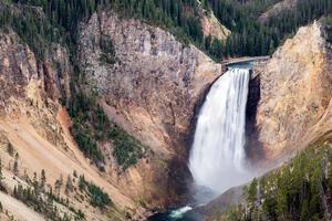 Lower Yellowstone Falls photo