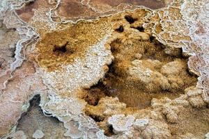 Mammoth Hot Springs foto