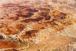 Mammoth Hot Springs photo