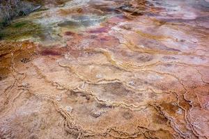 Mammoth Hot Springs photo