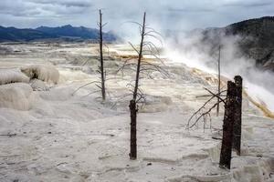 Mammoth Hot Springs in Yellowstone National Park photo