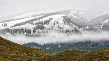 Countryside of Yellowstone National Park photo