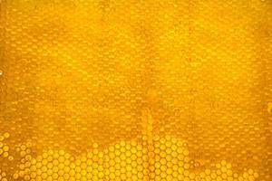 Honeycomb from bee hive filled with golden honey photo