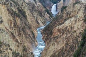 caídas de Yellowstone inferiores foto