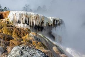 Mammoth Hot Springs photo