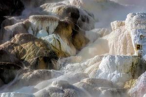 Mammoth Hot Springs foto