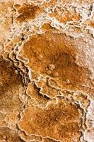 Mammoth Hot Springs photo