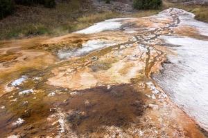 Mammoth Hot Springs photo