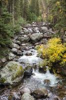 Rapids in Yellowstone photo