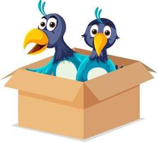 A birds in the box on white background vector