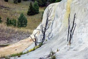 Orange Spring Mound at Mammoth Hot Springs photo