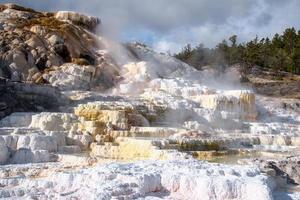 Mammoth Hot Springs photo