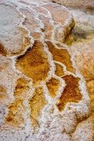 Close up of Mammoth Hot Springs photo