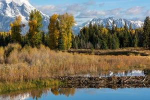 Beaver Dam at Schwabachers Landing photo