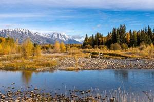 Autumnal Colours in the Grand Teton National Park photo