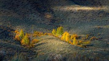 Autumn Colours in Wyoming photo