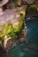 Looking into Avalanche Creek in Montana photo