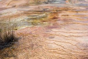 Mammoth Hot Springs photo