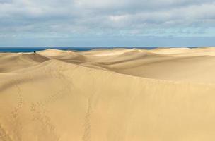 dunes in maspalomas canarias islands spain with hill of golden sand from sahara desert photo