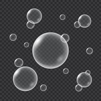 Realistic water bubbles isolated vector