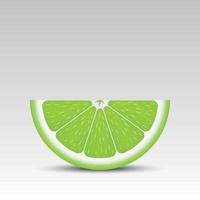 Realistic lime slice vector