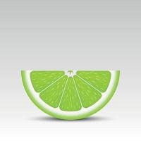 Realistic lime slice vector