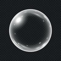 Realistic water bubble isolated vector