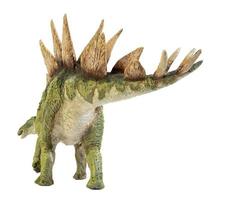 Stegosaurus Dinosaur on isolate background . photo