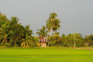 Traditional Malays kampung house photo