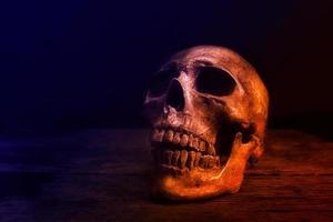 The skull in the shadows at the light. Halloween concept photo