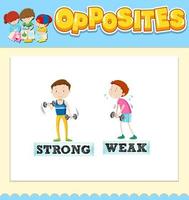 Opposite words for strong and weak vector