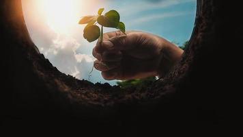 salvar el concepto del mundo del planeta tierra. plantando árboles foto