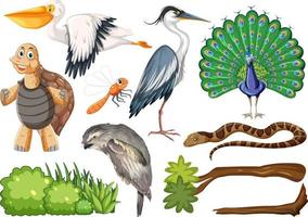 Different kinds of wild animals collection vector