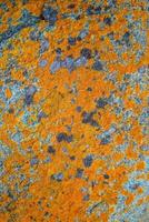 Cover page with beautiful colorful lichen patterns on the rocks in Patagonia, South America, as background concept. photo