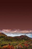 portada con mágico y colorido bosque de cuento de hadas en el parque nacional tierra del fuego en patagonia, argentina, otoño dorado, vista panorámica. foto