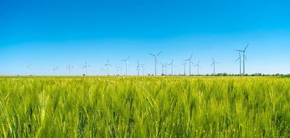 Panoramic view over beautiful farm landscape with green wheat field and wind turbines to produce green energy in Germany, Spring, blue dramatic rainy sky and sunny day. photo