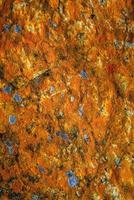 Cover page with beautiful colorful lichen patterns on the rocks in Patagonia, South America, as background concept. photo