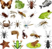 Different kinds of insects and animals on white background vector