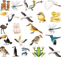 colección de diferentes tipos de animales vector