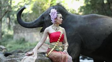 asiatische Frau mit Elefanten im Bach, Chiang Mai Thailand. video