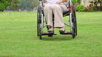 mulher idosa relaxa na cadeira de rodas no quintal com a filha video