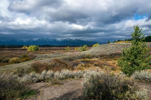 Grand Teton National Park photo