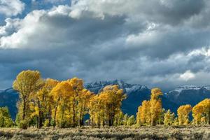 Autumn in the Gros Ventre River Valley photo