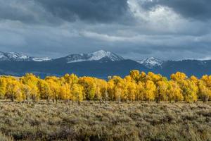 Autumn in the Gros Ventre River Valley photo