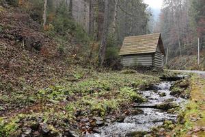 un estrecho río salvaje de montaña fluye en el bosque. casa antigua de madera de turistas solitarios en el bosque nublado de otoño. enfoque selectivo en el río foto