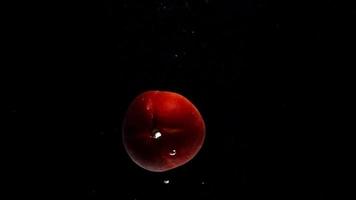 Dark red ripe peach falls into clear water and surfaces floating with large air bubbles on black background macro slow motion video