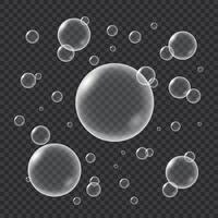 Realistic water bubbles isolated vector