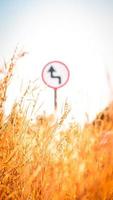 Traffic street  transportation sign over dried grass nature meadow field photo