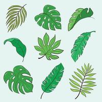Vector template set of plants and flowers. Stock illustration.